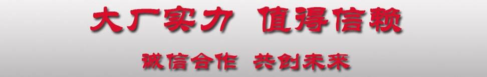 大廠實(shí)力